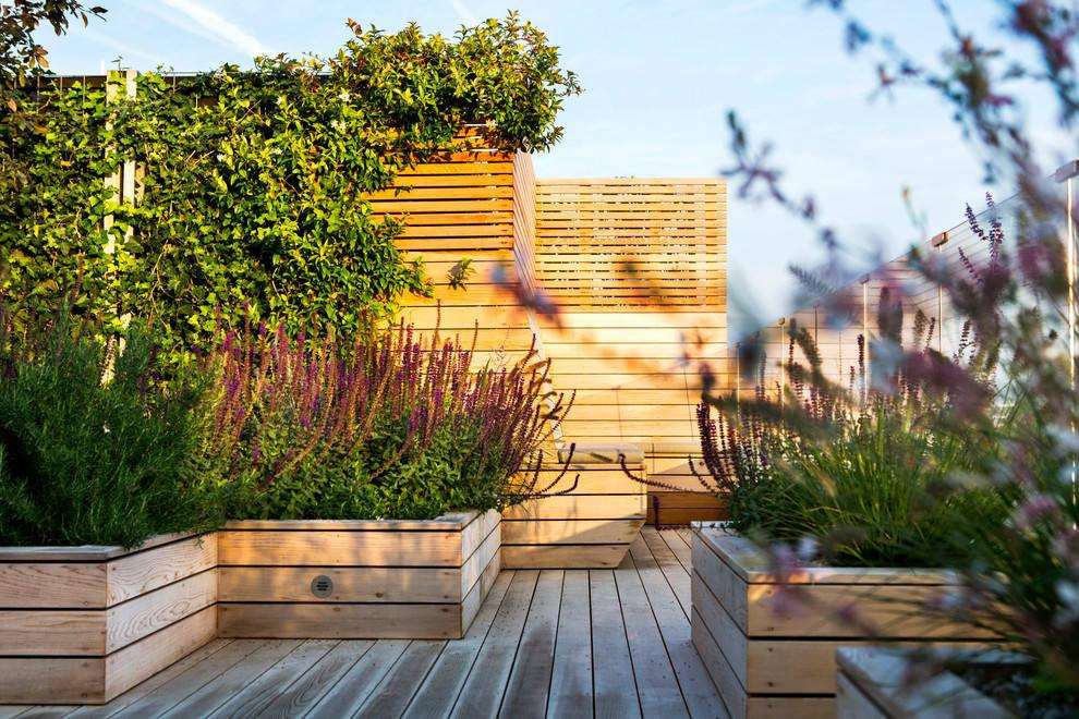 成都屋顶花园设计对城市的绿化作用