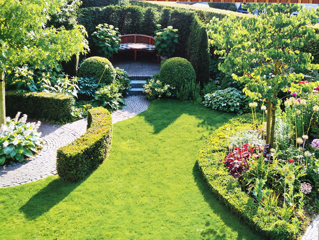 成都花园设计层次丰富的圆弧形修剪